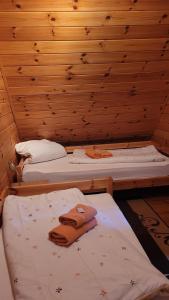 two beds in a room with a wooden wall at Ferienhaus Bliev-Hee Nr 2 in Klink