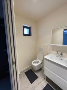 a bathroom with a toilet and a sink and a window at Apartment 4 confort&modern in Arad