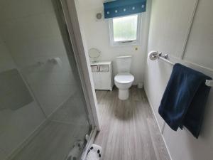 a bathroom with a toilet and a shower with a blue towel at Cotswold Lodges in Cirencester