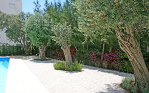Сад в Corina Suites & Apartments