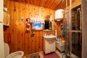 Koupelna v ubytování Domek całoroczny u Zosi + 25 fotografií