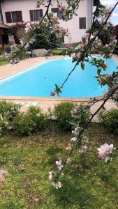 una piscina azul con flores rosas en un patio en Un bell incontro, en Borgo Ticino