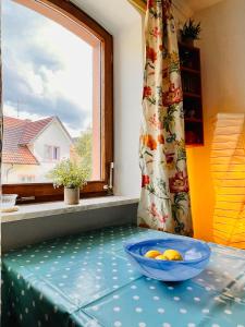 un bol de fruta sentado en una mesa junto a una ventana en Apartment Amelie - Zimmer mit TV, W-Lan, Mikrowelle und Kühlschrank, Bad mit Dusche, en Malterdingen