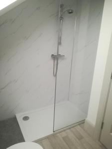 a shower with a glass door in a bathroom at Brodleys' Hill Studio 286d in Ballymena