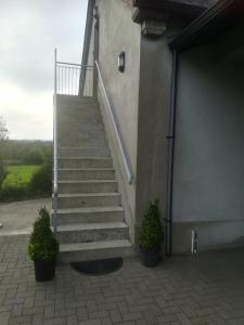 a staircase with two potted plants next to a building at Brodleys' Hill Studio 286d in Ballymena