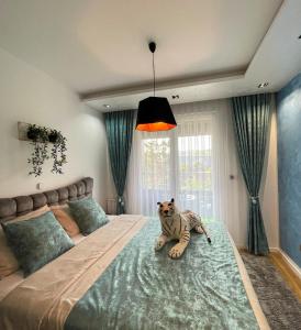 a cat sitting on a large bed in a bedroom at Emma Park Lake Emma Parklake in Tuzla