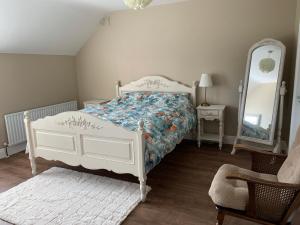 1 dormitorio con cama, espejo y silla en Kerry Coastal Hideaway en Fenit