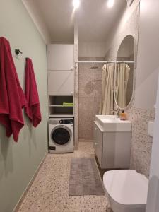 uma casa de banho com um lavatório e uma máquina de lavar roupa em Old Town Renaissance Apartment em Vilnius
