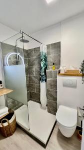 a bathroom with a glass shower stall and a toilet at Suite Caraïbes 1 - Superbe Studio Cosy in Les Trois-Îlets