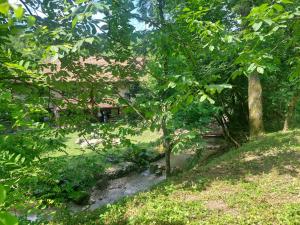 a stream in a forest with a house in the background at Casa de Piatra in Socolari