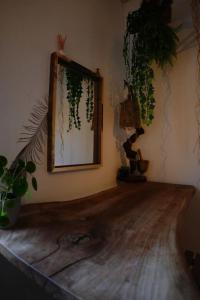 a room with a mirror and plants on the wall at The Serenity House in Nar