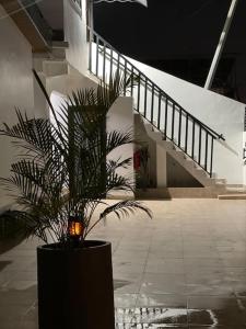 a plant in a planter in a building with stairs at Modern Family House with 2 bedrooms + Free Parking in Ashaiman
