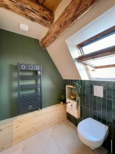 uma casa de banho com um WC e uma parede verde em L'Eden du Vignoble - Centre historique de Barr em Barr