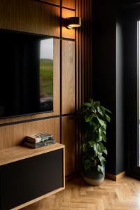 un jarrón con una planta sentada al lado de una TV en The Black Cabin Oban en Oban