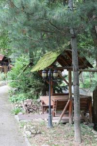 Zahrada ubytování Complex Țurcana Transalpina