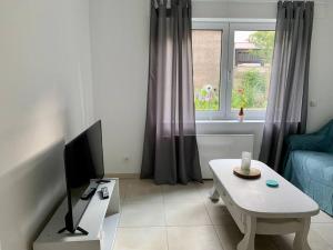 a living room with a blue couch and a tv at Ruhige Wohnung am Rande des Naturschutzgebietes in Ingelheim am Rhein