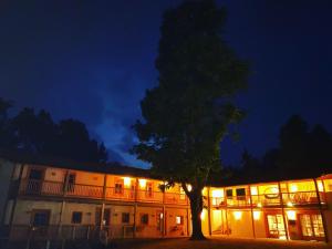 a building with a tree in front of it at night at Haus Himmelfahrt in Soprabolzano