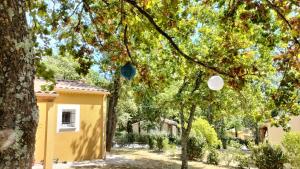 Zahrada ubytování Le Val d'Ô - Gîte Drôme Provençale avec piscine