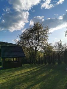 a house in a field with a tree in the foreground at Beskidzkie Zacisze in Uście Gorlickie