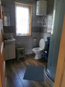 a bathroom with a toilet and a sink and a window at Beskidzkie Zacisze in Uście Gorlickie
