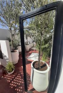 a group of potted trees sitting on a balcony at STUDIO LOFT MEDINA AVEC TERRASSE in Marrakech