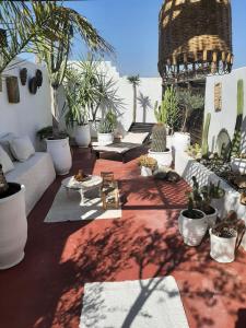 a patio with a lot of potted plants at STUDIO LOFT MEDINA AVEC TERRASSE in Marrakech