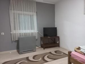 een woonkamer met een flatscreen-tv en een televisiekijker bij Apartmani Lovčević in Bogatić