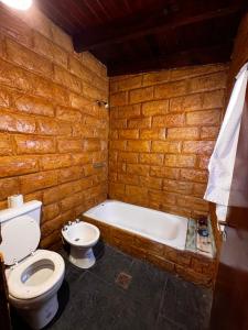 a bathroom with a toilet and a bath tub at Cabaña Bethsabet Cafayate Salta in Cafayate