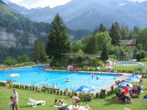 La alberca dentro o cerca de Chalet Courage