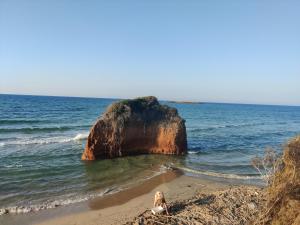 a woman sitting on the beach near a rock in the ocean at La Violetta Ostuni in Ostuni