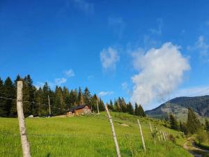 a fence in a field with a house on a hill at Daci Guesthouse 