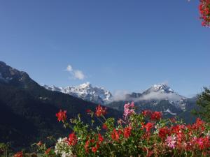Paesaggio naturale nelle vicinanze dell'hotel