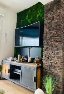 a living room with a tv on a stone wall at Un havre de quiétude au cœur des Montagnes in Métabief