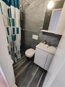 a bathroom with a toilet and a sink and a mirror at Zorić Apartments & Rooms 2 in Dubrovnik