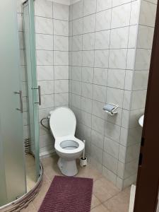 ブラチスラヴァにあるTerrace Rooms Rentalのバスルーム(トイレ、ガラス張りのシャワーブース付)