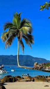 uma palmeira numa praia com pessoas debaixo dela em Encanto do Mar em Praia de Araçatiba