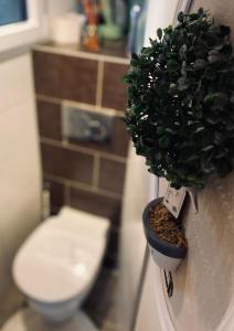 une plante dans un pot sur un mur à côté des toilettes dans l'établissement Un havre de quiétude au cœur des Montagnes, à Métabief