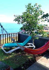 eine Hängematte neben einem Baum am Meer in der Unterkunft Bluehouse Paradise Right by the Sea in São Vicente