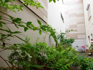 a garden with green plants next to a building at Le Coucou Rennais in Rennes +30 photos