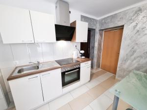 Köök või kööginurk majutusasutuses Da Vinci Apartment