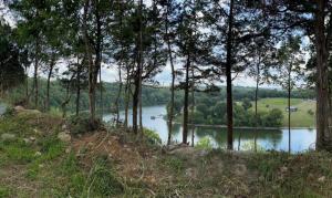 einen Blick auf einen See mit einem Haufen Bäume in der Unterkunft Tube - 06 Lockridge Park in Danville