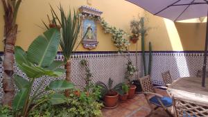 Ein Garten an der Unterkunft Dormir en Cádiz