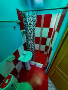 a small bathroom with a shower and a toilet at D301 in Moyobamba +8 photos