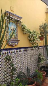 Ein Garten an der Unterkunft Dormir en Cádiz