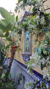 Ein Garten an der Unterkunft Dormir en Cádiz