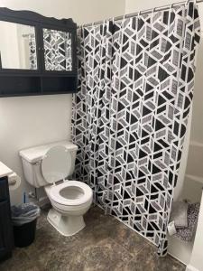 a bathroom with a toilet and a patterned shower curtain at Modern home steps to historic downtown Salisbury in Salisbury