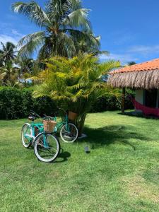 uma bicicleta azul estacionada ao lado de uma palmeira em Pousada Corália em São Miguel dos Milagres