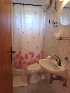 a bathroom with a sink and a toilet and a shower curtain at Double Room Jelsa 4602a in Jelsa