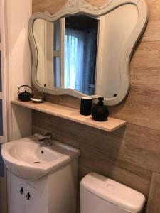ein Bad mit einem Waschbecken und einem Spiegel über einem WC in der Unterkunft Almagicama in Villa Serrana