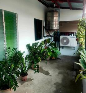 a room with a bunch of plants and a fan at 2 Bedroom, 1 Bathroom Home with street parking in Sibulan